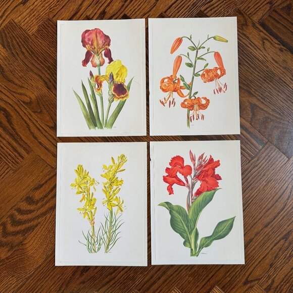 Vintage French Flower Prints Set 4 - Picture 1 of 5